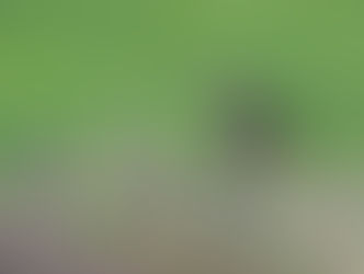 סוף השבוע האחרון של אוגוסט