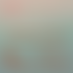 Ensamble Santa Cecilia