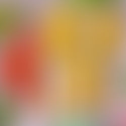 Los Tejidos que Hablan 16 de Julio