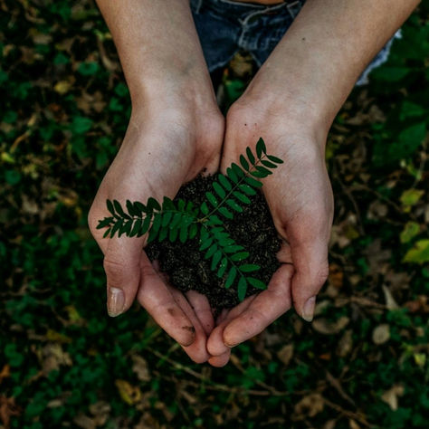 ESG Reporting in Australia: A 2026 Guide for Businesses