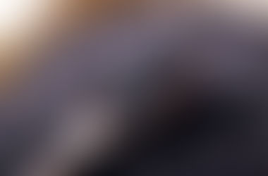 【文風筆動】黑芝麻