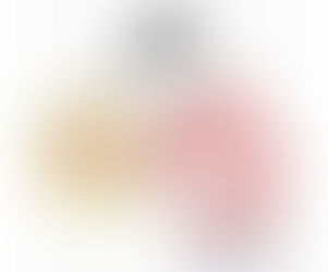 【貓媽行醫手記】脾胃(二)