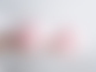 Welcome to our website! 