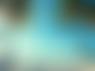 Web Design Tips for Broward Businesses