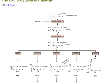 Nonsteroidal Anti-Inflammatory Drugs (NSAIDs) and Kidney