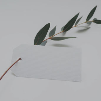 Willow leaf with tag