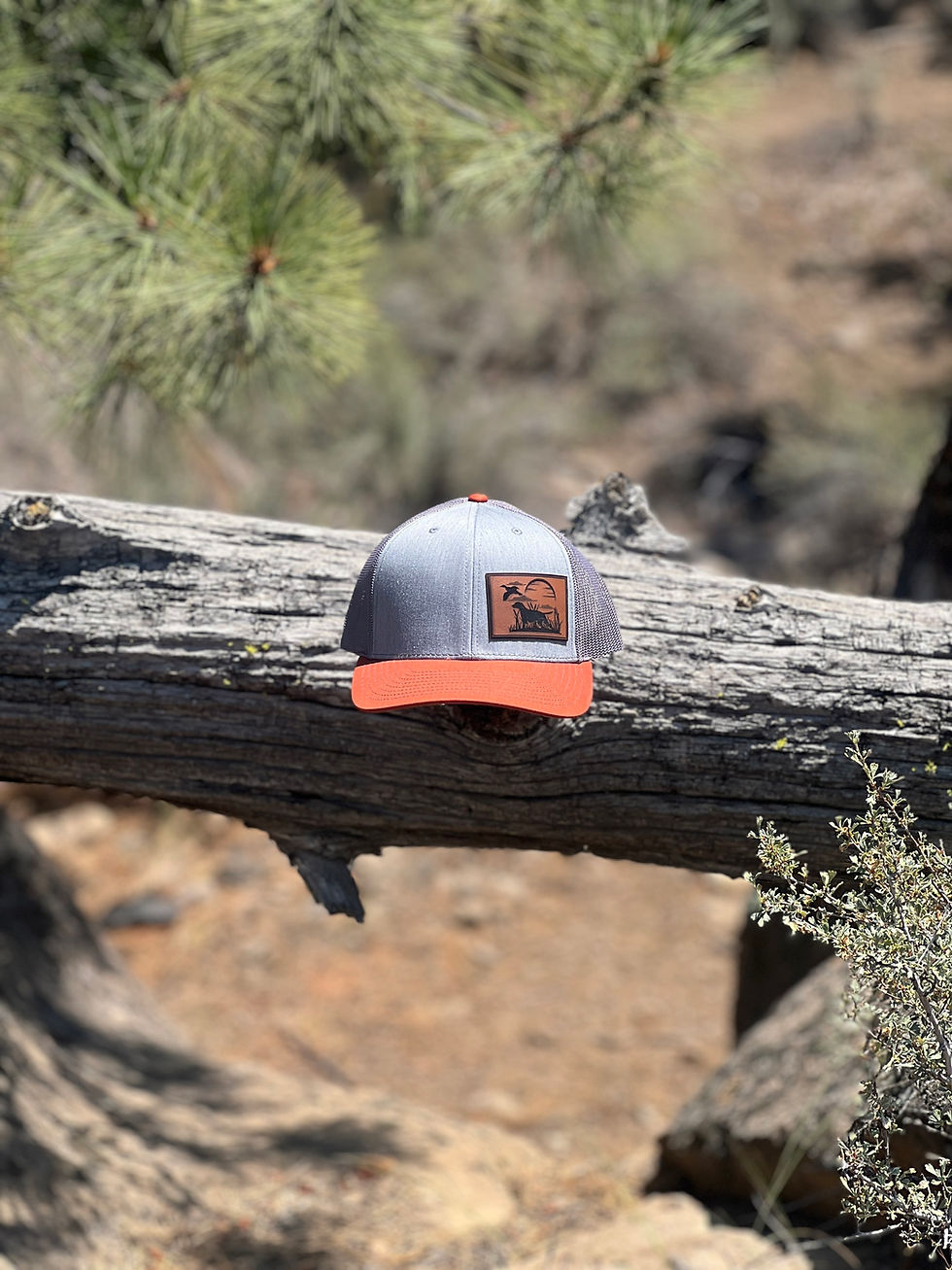Heather grey and orange hat, with a patch of a duck, dog in a field and a sun.