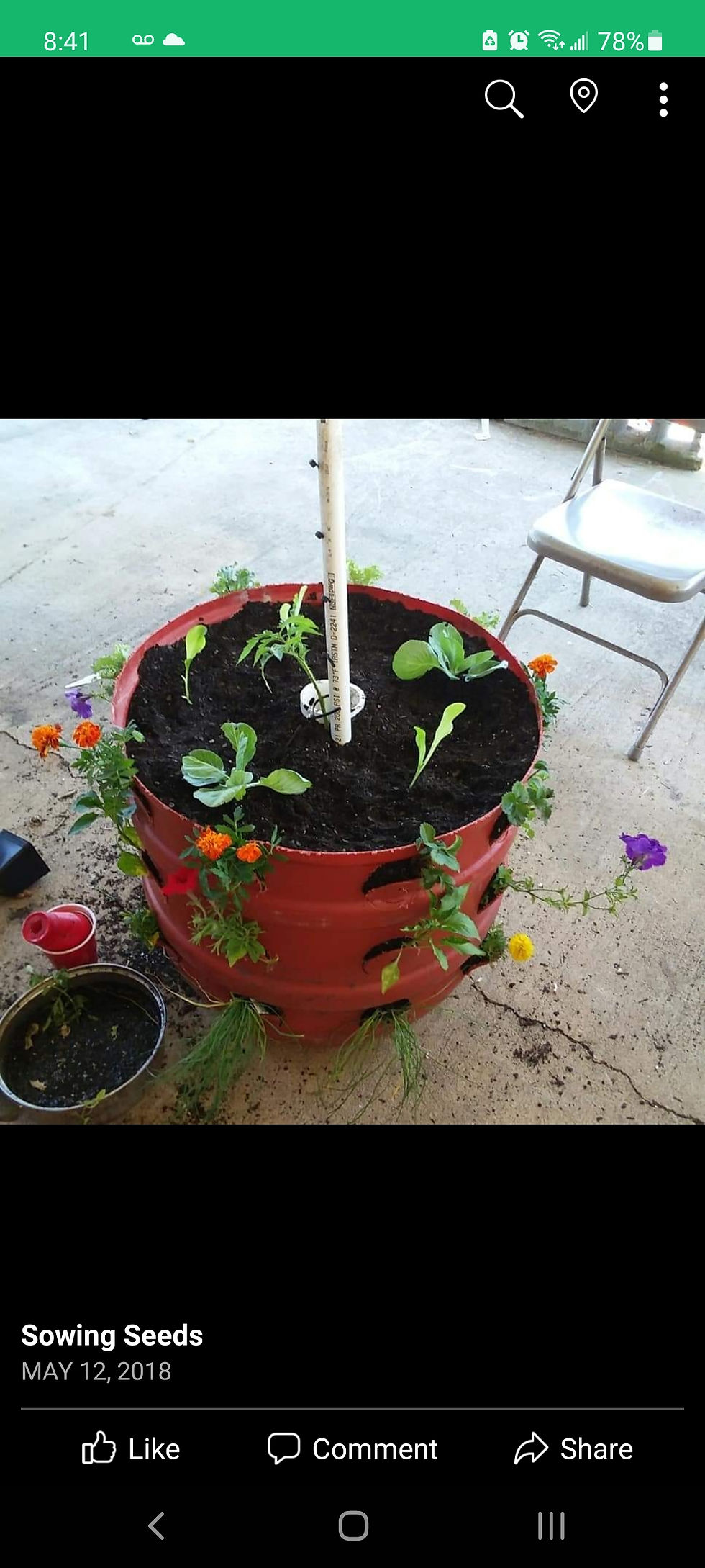 Thumbnail: Specialty Planters