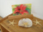 Our Guest Rooms