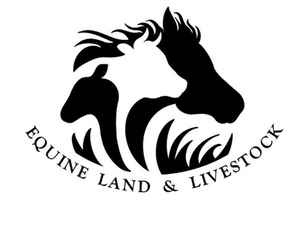 Client Logo Designs