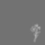 image0 (17).jpeg