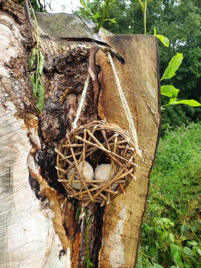 Thumbnail: Window Bird Feeder Craft Kit