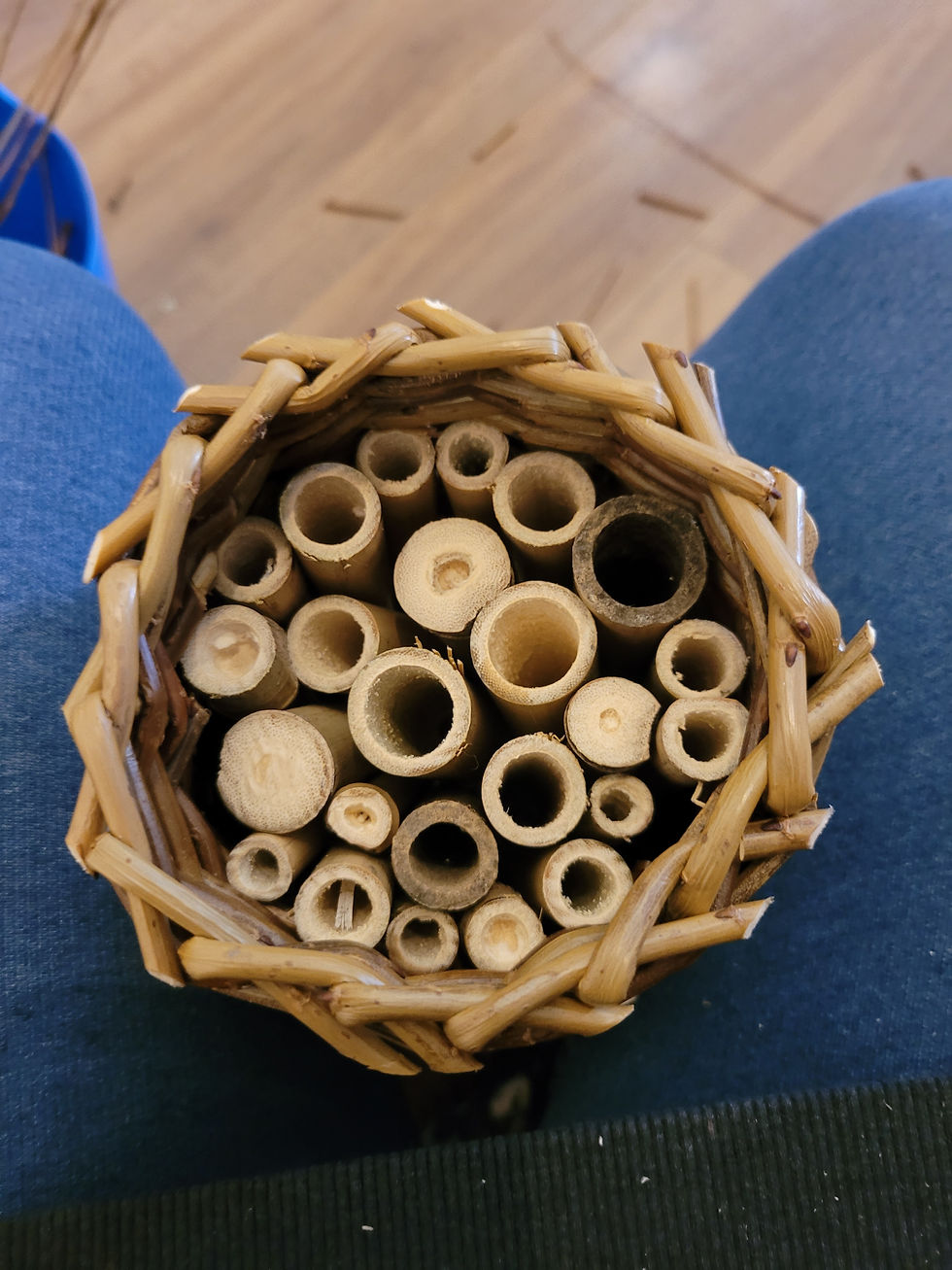 Thumbnail: Bee Hotel Craft Kit