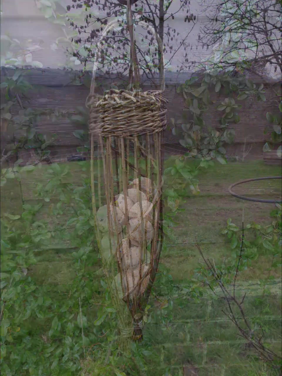 Thumbnail: Willow bird feeder / fat ball holder
