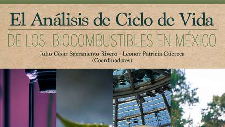 Libro ACV bio energía (CILCA) 