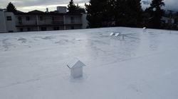 TPO Roof