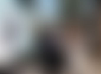 FICG celebra su historia con muestra de carteles en Paseo Chapultepec