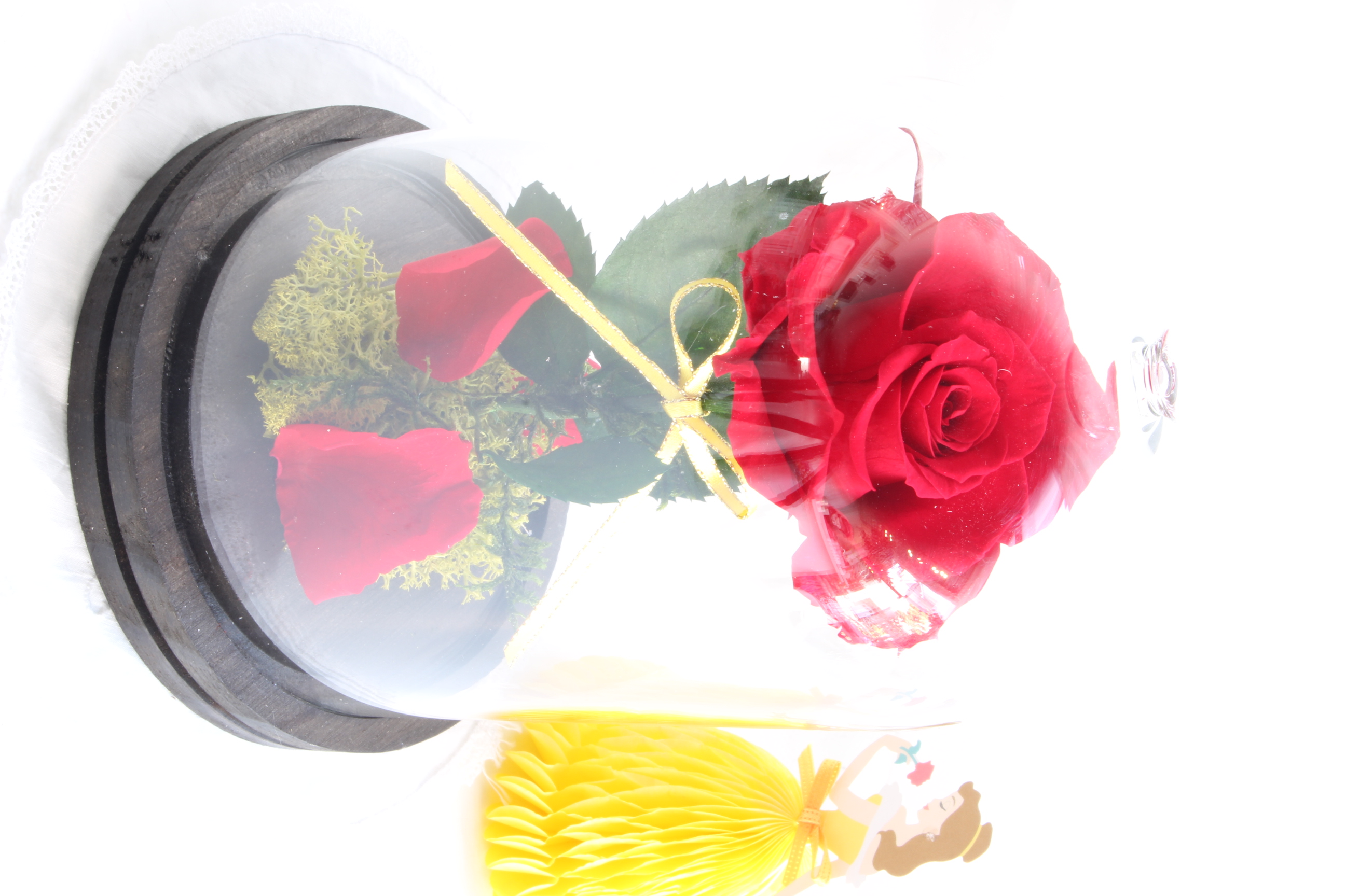 美女と野獣の赤薔薇アレンジメント