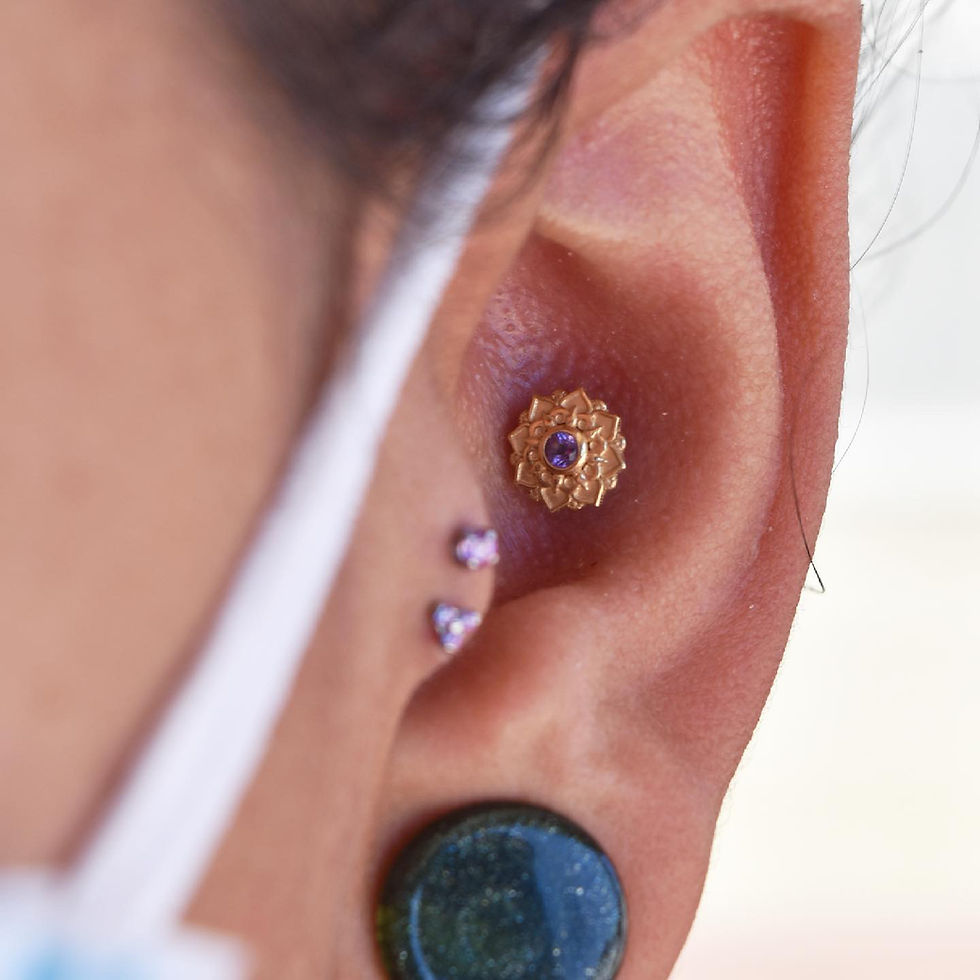 Conch Double Tragus Ear Piercings with Gold.JPG