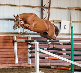 Wicked Moon Sept 2019 c_edited.jpg