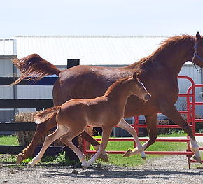 Won Spitting Image 22 2.jpg