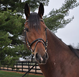 2025-11-21 (46) (2).jpg