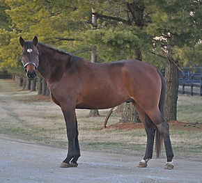 2024-02-20 (9) (2).jpg