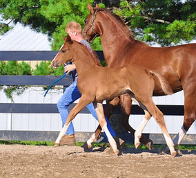 Fashion Designer 1 August 2022.jpg