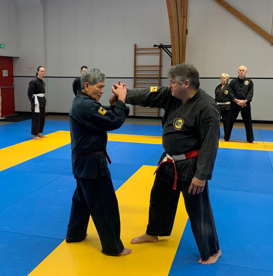 STAGE VIET VO DAO Auto Défense Ouvert à Tous