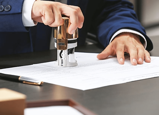 юрист Звягель