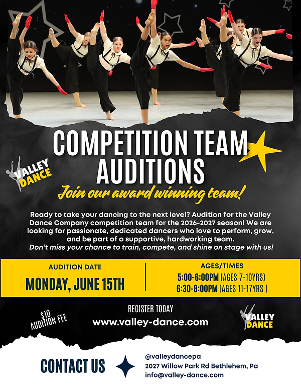 VDC Audition Flyer.png