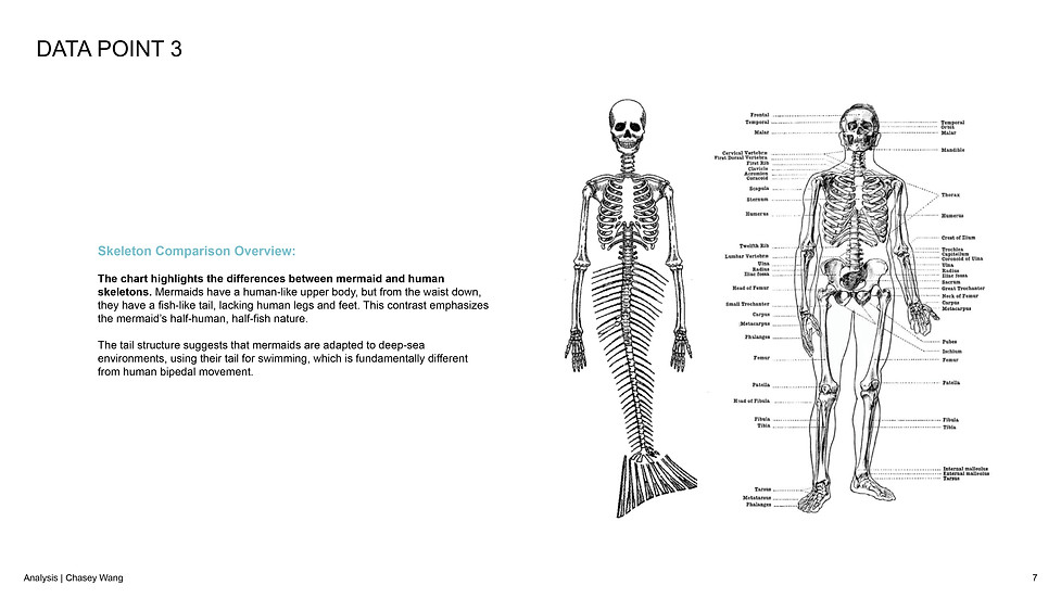 Chasey Assignment D1 WIP Process book 17.jpg