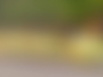 Hartlepool's yellow taxi rule may be scrapped as part of a series of amendments to the industry