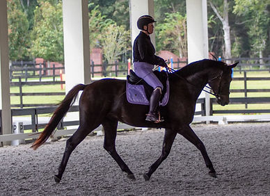 Castle-Josey-2026-JKDclinic-3.jpg