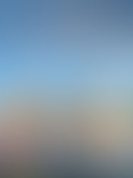 Morar em Orlando, Estados Unidos