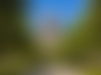 Texas Senate - What's Next for TX Property Tax