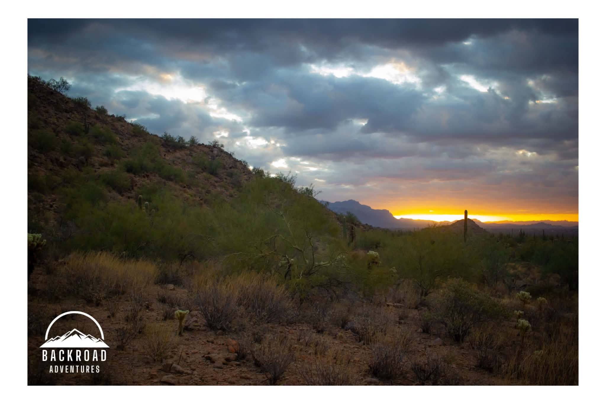 Desert Dawn