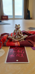 meditatingfrog.jpg