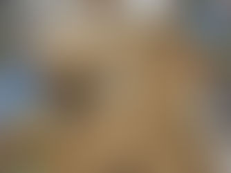 ビル建設工事③