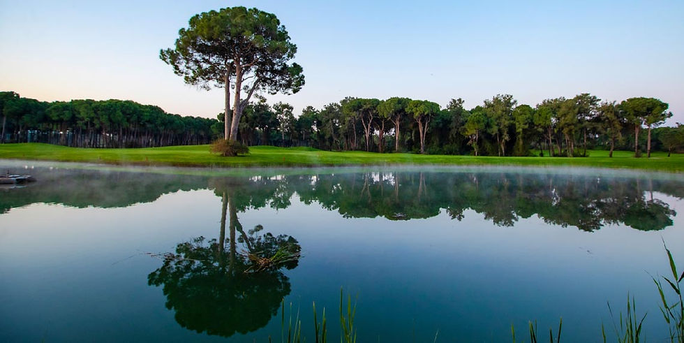 Galo resort - Mederia