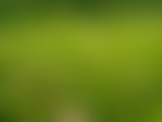 La Magia della Natura: Un Viaggio tra Suoni e Profumi