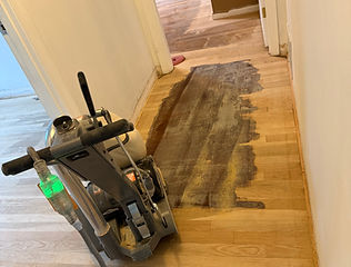 IMG_8006.jpeg