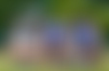 九州学生ラグビーリーグA【第4節】