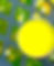 Thumbnail: Xanda Panda Calendula  Salve