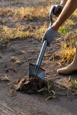 Aprender com o ambiente (5)