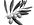 Olive Branch Closeup_edited.jpg