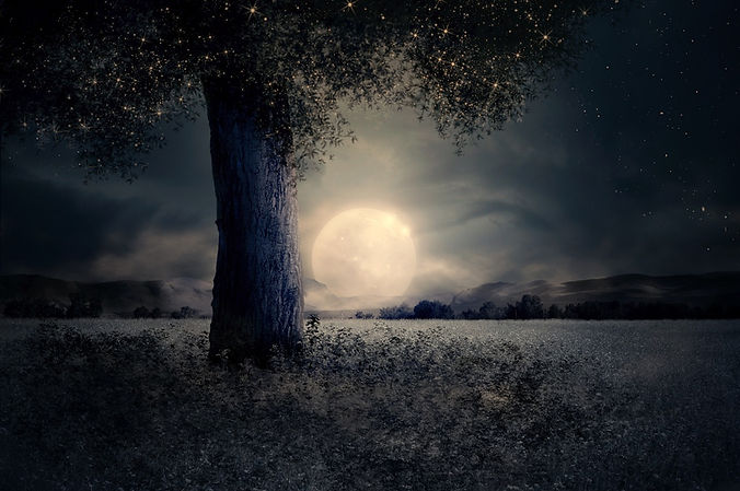 night-gc88a9c282_1280.jpg