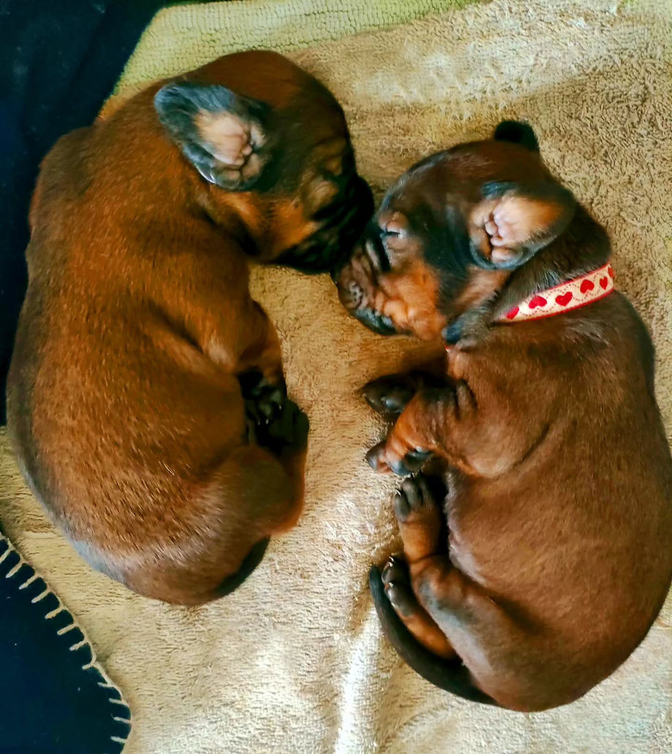 Wärme und Geborgenheit… ❤️