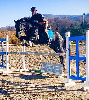 Reiter beim Springen mit einem schwarzen Cavallo Maremmaano von Sterpeti über ein Hindernis im Reitunterricht