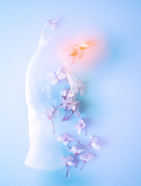 lafilleetloiseau-artiste-femme-photographe-poitiers-2.jpg